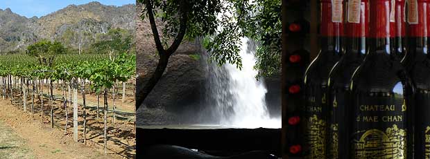 Khao Yai National Park Wine Valley Tour