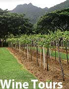 Private Thai wine tours throughout thailand